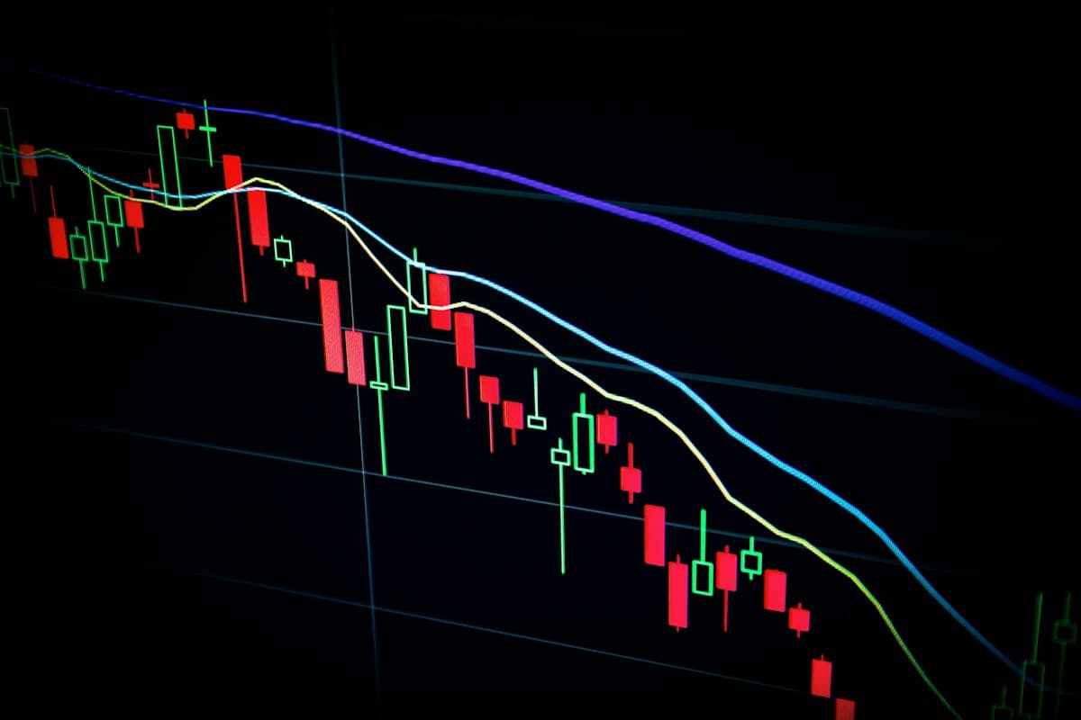 Five Financial Indicators Every CEO Should Monitor